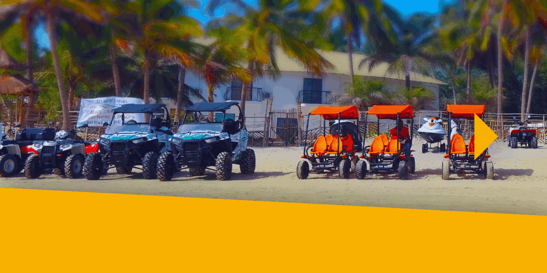 Activités terrestres