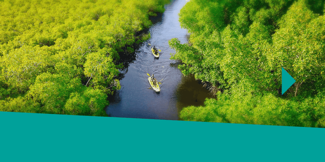 Activités fluviales