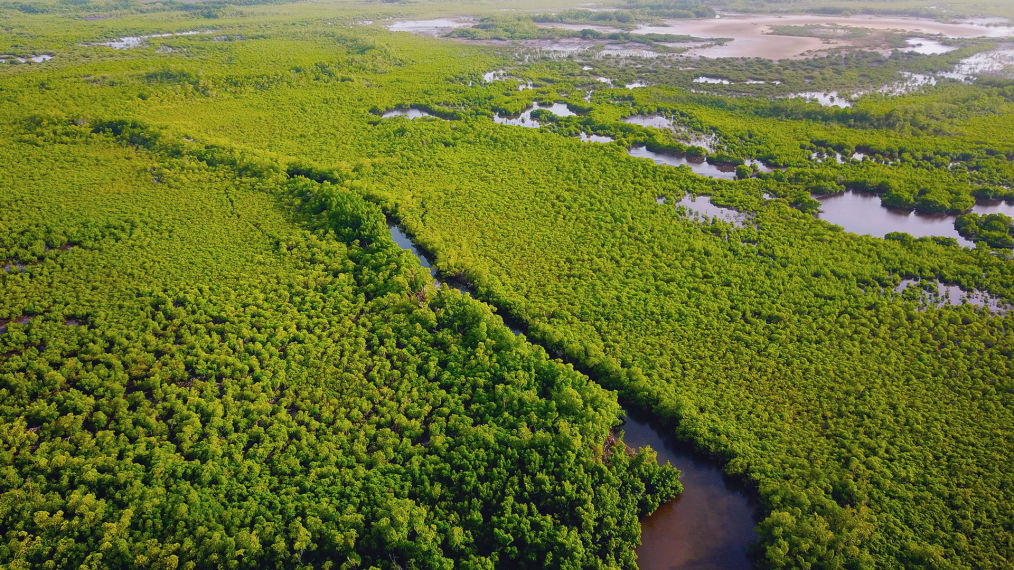 Activités fluviales - rando kayak - croisière en bateau