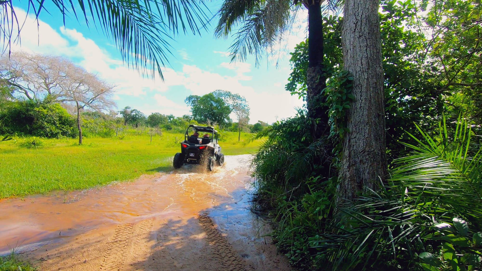 RANDO BUGGY