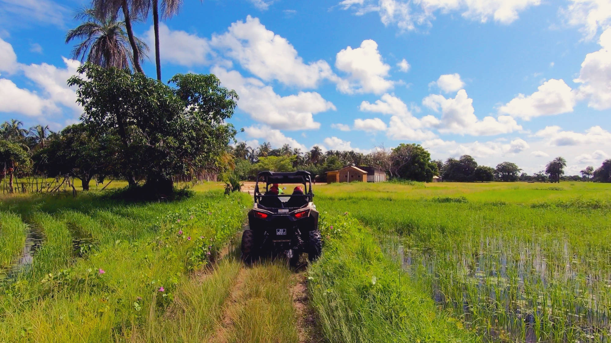RANDO BUGGY