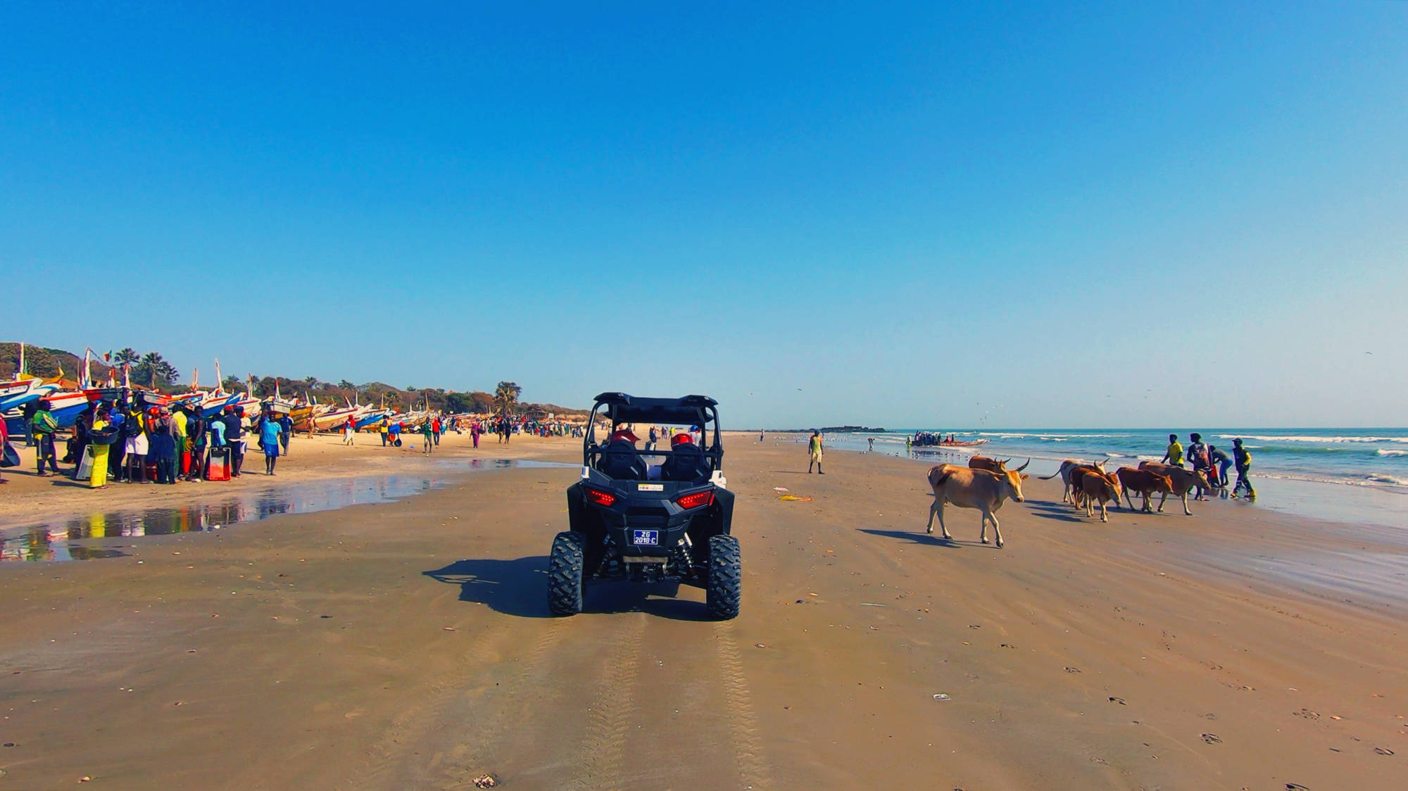 RANDO BUGGY