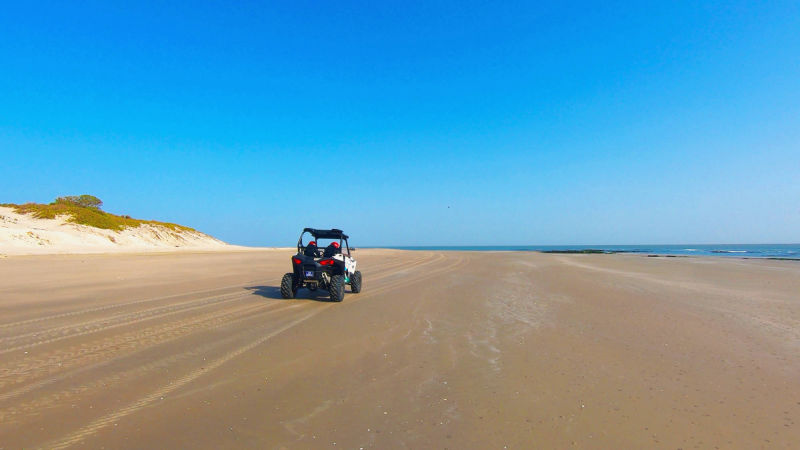RANDO BUGGY
